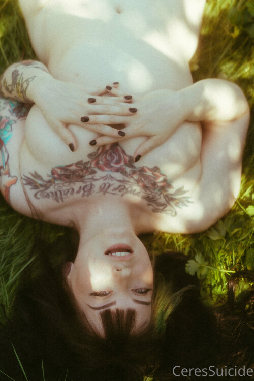 3840x5760 55dae3dcc9b608464f631ac1b59ccee5