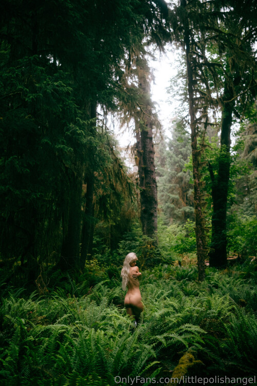 3840x5760 5600e0891255e1f1c2bd9c47c8a63c9b73841072effa7a67