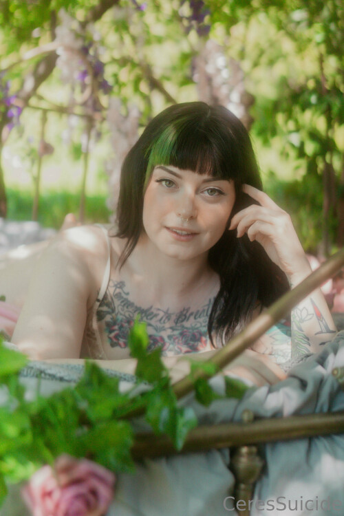 3840x5760 bdf98d2edd29292c524806c737a43a236c45be0d9c008fd1