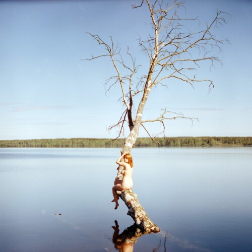 38b50f5c 0cfb 4bf5 b348 a056604bd785f6f5832a27523d72