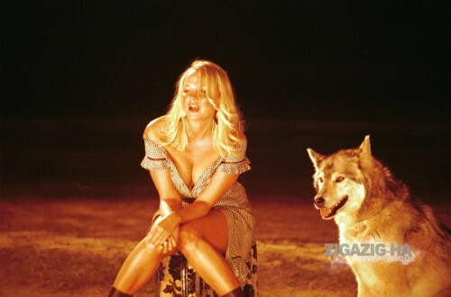 39227492eaa624a3fa8e2f