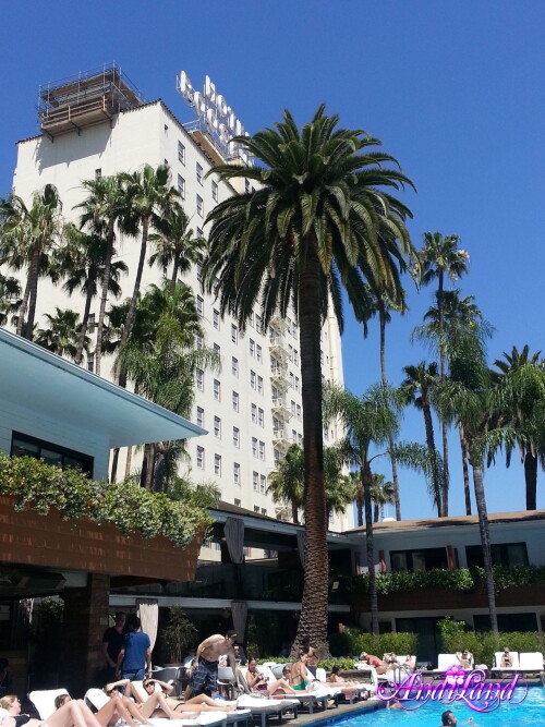 395 94 lg55595e304bc8062c