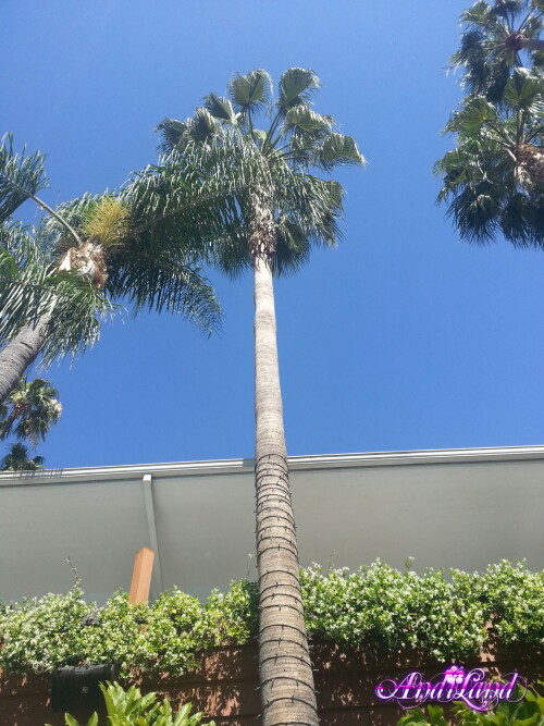 395 97 lg9c9770a4a91abea9