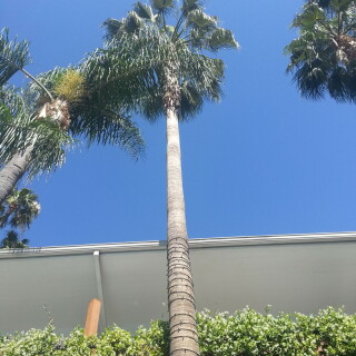 395-97-lg9c9770a4a91abea9