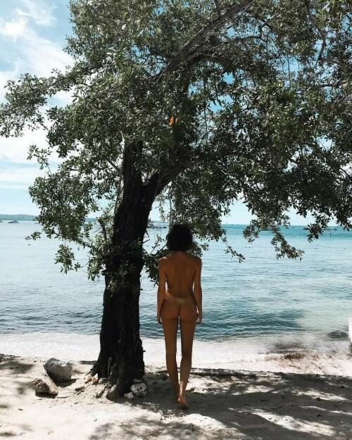 3DB71A0A 1C50 457D 9DED 3D033A272897