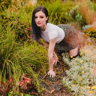 3a15b3e18149276c0fc97079127c1fb13