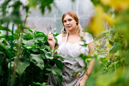 3bc238ff 3e85 4847 8901 adc6c8619c05b02001add4cddbed