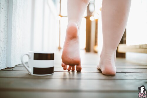 3lw62v97489af39529dff0