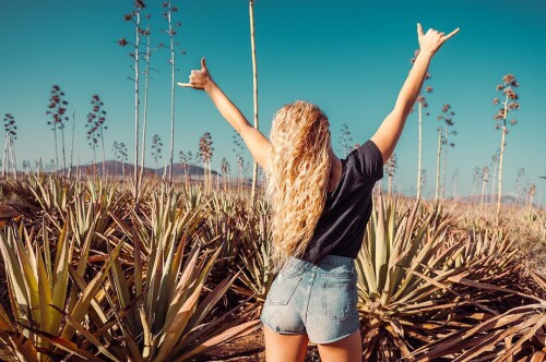 4 QA8KNjCecbd29b88f7007a5