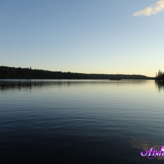 410-01-lgcebe1892da583314