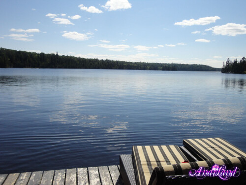 410 34 lga830981f3f88ff7b