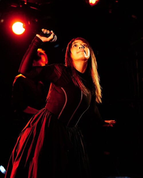 41013528471dd596d0e6e479e