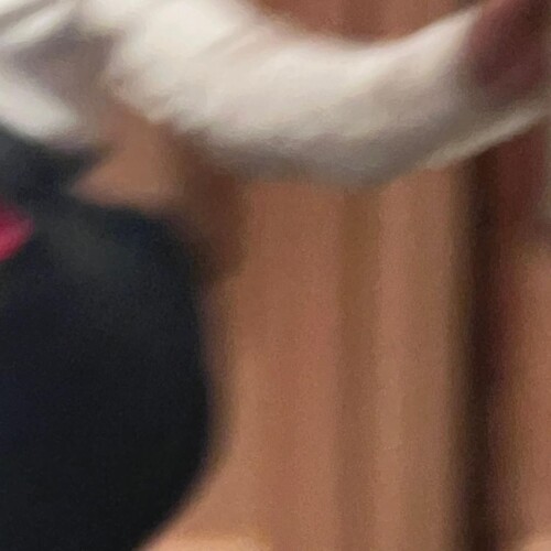 412030241 753666066779077 7163355880851225816 nc6620a9aa75d439c