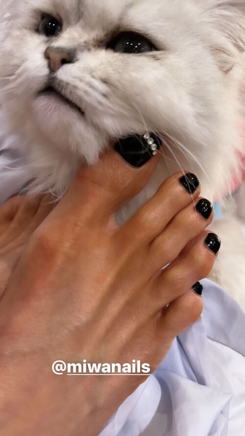 417508599 1173663930264102 4321146839745370902 n61ddd78998dab83e