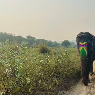 41772ead-785c-4e96-b05f-9263c4395d810ef0557a56888278