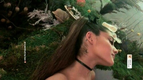 417748ab87d10ab875f8617b78f810b6d44627ad518ea9ed