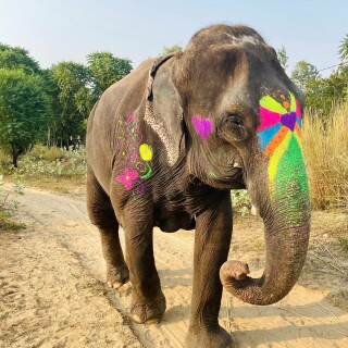 42030be3-4737-4b02-9611-1952aa2cabdf1ecaf53ce47f5f46