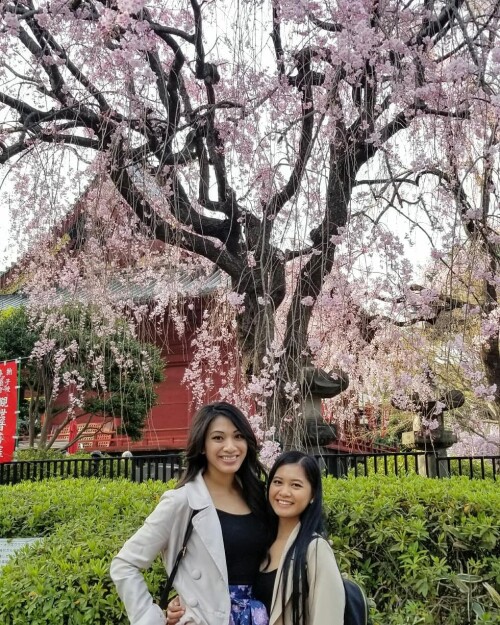 423 jMNwk6V2746cb7ae46dce84