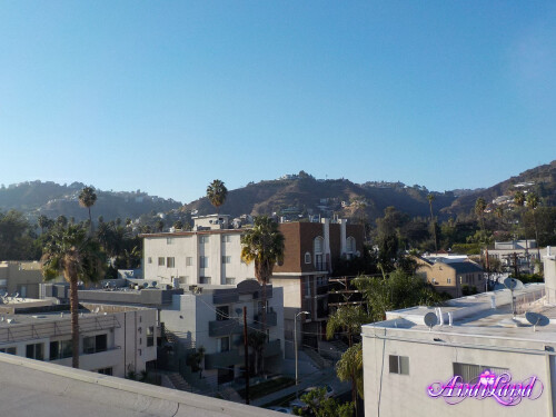 423 116 lg11e5724404547fb5