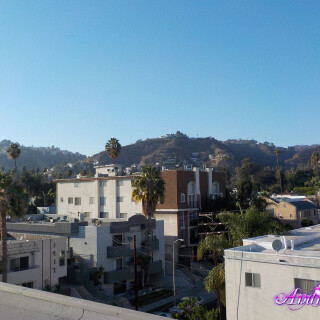 423-116-lg11e5724404547fb5