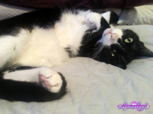 428 02 lgc5c606a52995a48e