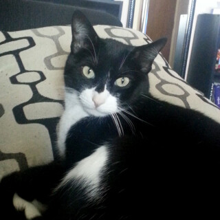 428-06-lgfb852e89964c641e