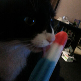 428-09-lgb19f27789399d0c4