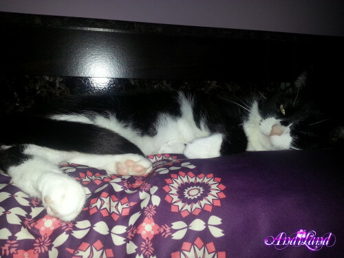 428 10 lg2b3cf60f0b2a72cd