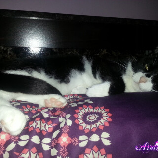 428-10-lg2b3cf60f0b2a72cd