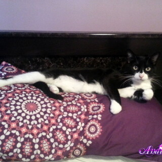 428-11-lga65be3c4d4fe1fd9