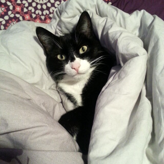 428-15-lg87d441d448022008