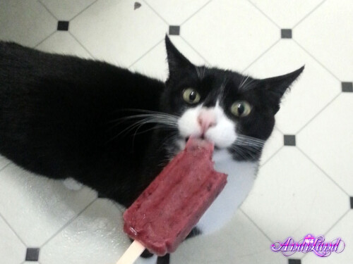 428 19 lgd81a89e2fecb78e4