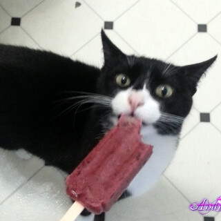 428-19-lgd81a89e2fecb78e4