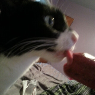 428-20-lg9fca9abcecef59b8