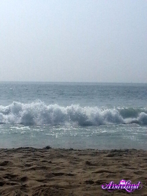 428 37 lgc098d11d292f837f