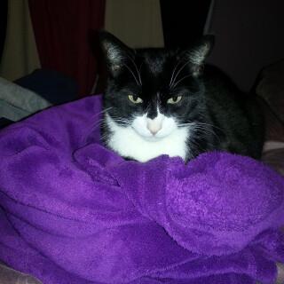 428-55-lgc42dcef889ca3004