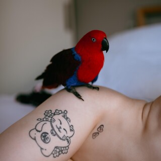 42fed1196e1e3a19cca0a8cdf17007e6a5