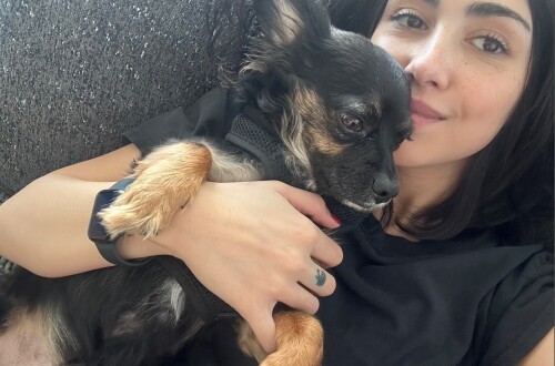 431074591 362021600004382 3540141027652945618 n37d0c4851b10c65bd