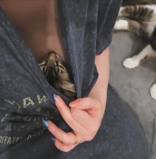 431812444 403207952307922 5550932019590977792 nc03fa81bdca6450a