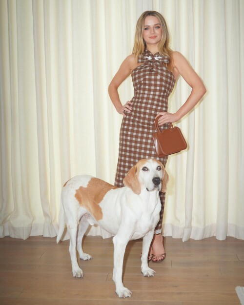 438239866 18112275193372292 1618961240426719438 n4211c8c1d9c7461a