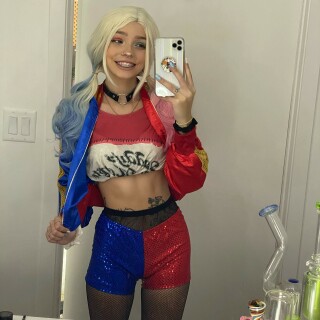 43_Harley_Quinn_434bb9636fae576bd859c06e04c59f0147