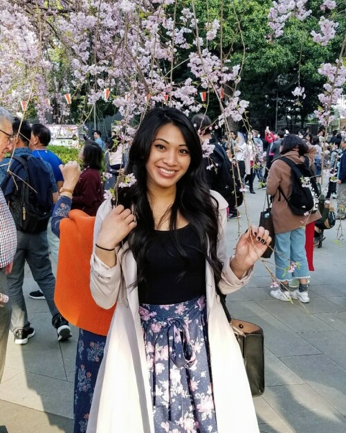 441 0CEZwSw8b80a5419f680258