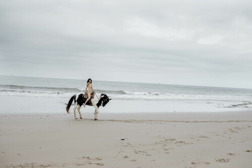 44158CE0 BA84 4F7F BFCF BDBDBB78FC36