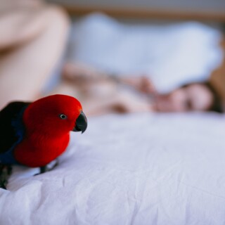 442c253f7e7e655f0d61668db560b87812