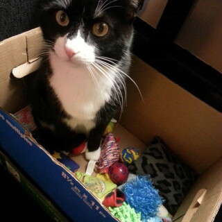 444-43-lg40df9e03c0fc6bd2