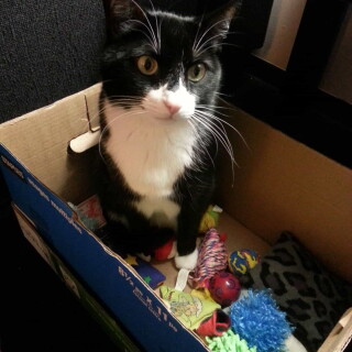 444-44-lg67cc5957bac866dc