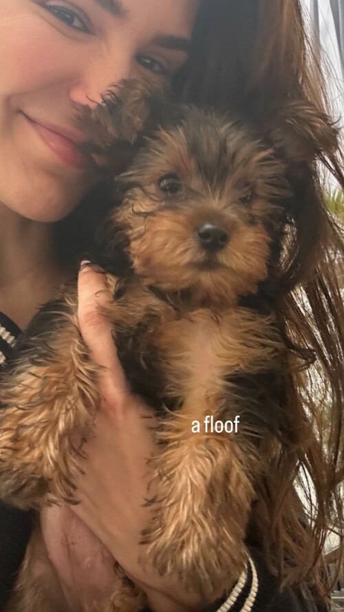 444885020 1644652616111628 4315188193697156410 n1ea092f5ac44556f