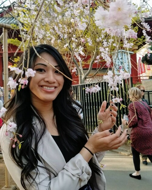 445 PQqvjPT09693dcad94eac7d