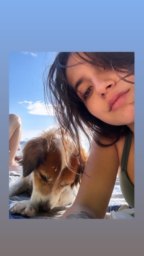 445557538 370441272675940 3938066117887643818 n0c7040ba9b2706be