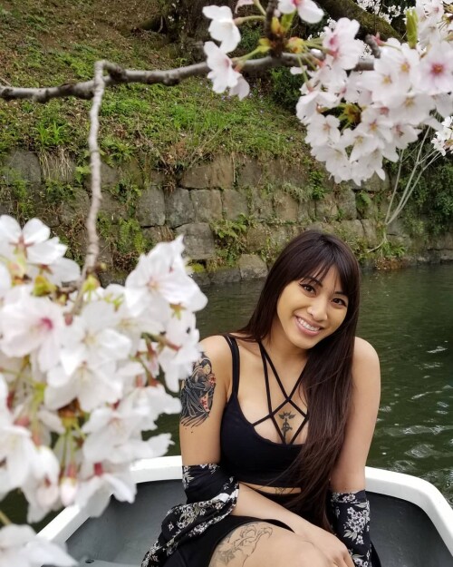 446 CfWVdyla5a6f06f695c208a